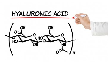 Hyaluronic acid or the "cement" molecule
