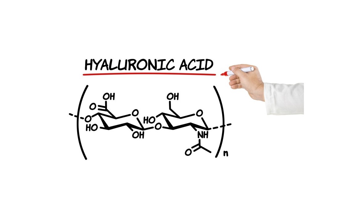 Hyaluronic acid or the "cement" molecule